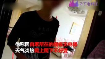 杨妈邻居爆料视频在线观看,揭秘事件真相，在线观看引发热议