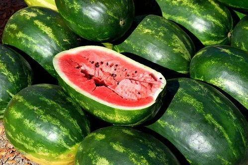 吃瓜资料怎么搞,从娱乐八卦到社会现象
