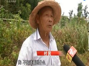 潮汕母女爆料新闻报道,家庭悲剧背后的真相
