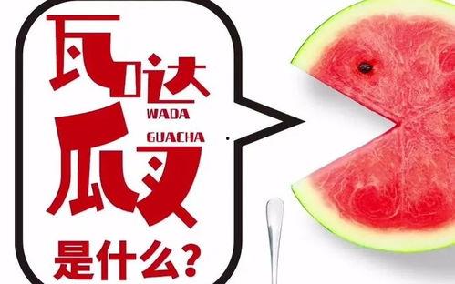 吃瓜抖音音乐,抖音热曲“吃瓜”带你领略潮流音乐的魅力