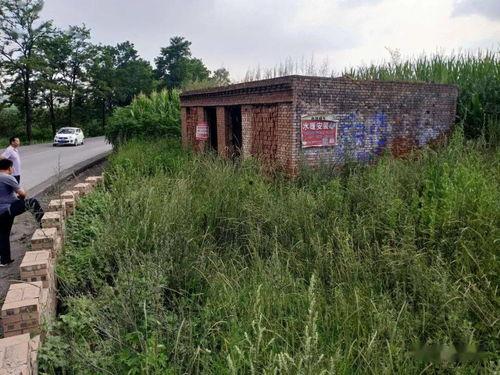 南坡村今日头条,探索乡村振兴新路径