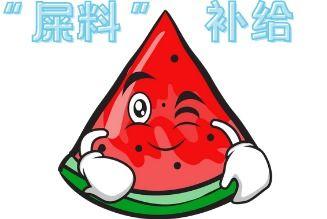 动漫吃瓜现场,揭秘热门IP背后的幕后故事