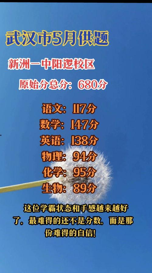 今日头条雨亭点评,今日头条深度解析，揭秘热门话题背后的真相