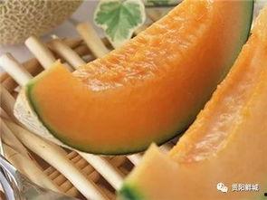 哈密瓜吃瓜头晕,揭秘瓜果中的神秘现象