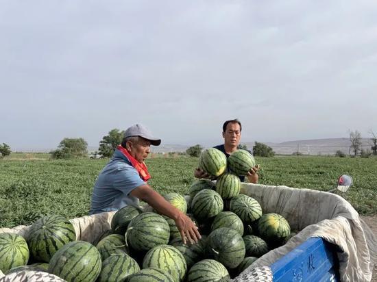 两村干部吃瓜,揭秘农村基层干部的日常生活