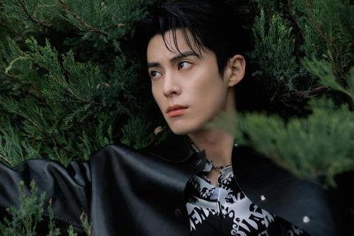 王鹤棣大瓜最新爆料图片,揭秘娱乐圈背后的惊人真相