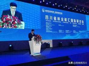 莘县林业头条,绿色生态建设成果丰硕