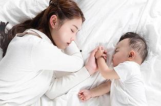 蚂蚁吃瓜的故事视频,一场奇妙的自然奇观揭秘