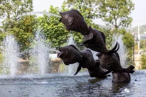 新乡网红泳池在哪